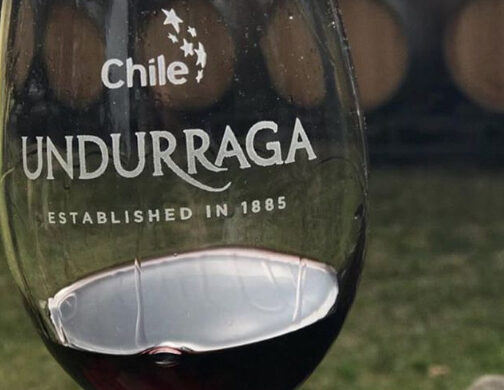 Feira Nacional Da Uva E Do Vinho De Bras Lia Vinho Por Acaso